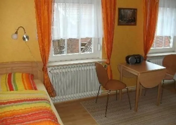 Seehase In Norden